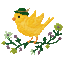 Canari.png