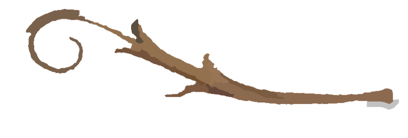 Fichier:Plante7.png