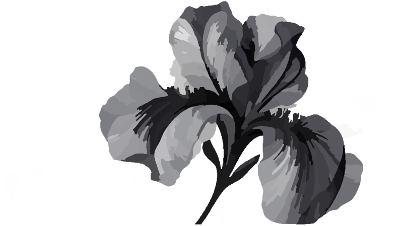 Fichier:Plante5.png