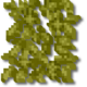Grille Lianes.png
