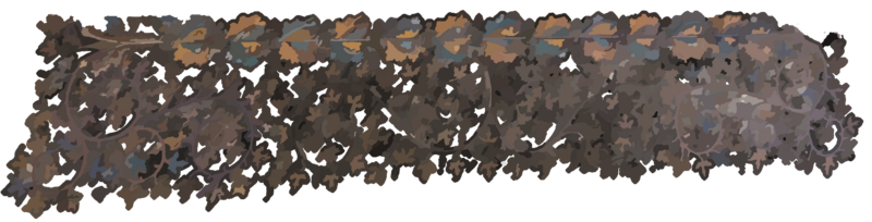 Fichier:Plante11.png